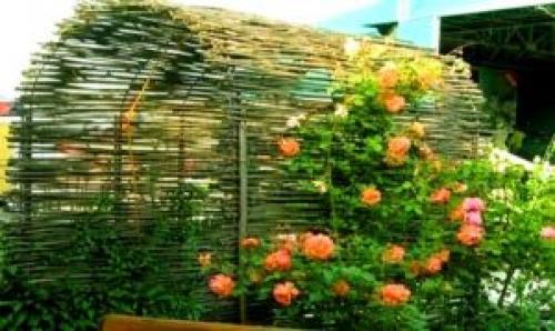 Ограждение для клумбы из лозы. Плюсы и минусы плетеной клумбы