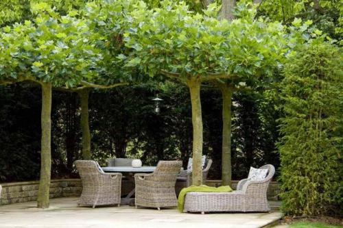 Беседка из ивы в саду - МК и идеи 09