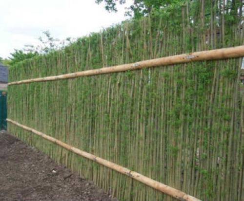 Живой забор из ивы своими руками: пошаговая инструкция. Функции и возможности живого забора