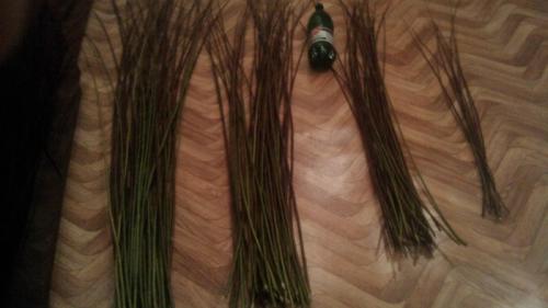 Плетение из ивовых прутьев. Плетём мз ивовых прутьев. Инструменты и материалы.