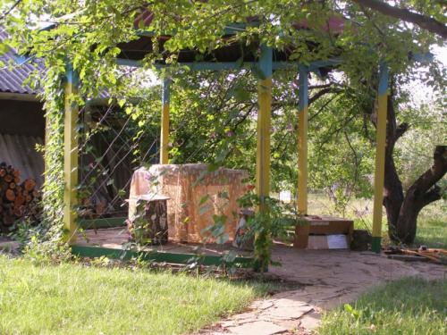 Беседка с виноградом. Разнообразие беседок