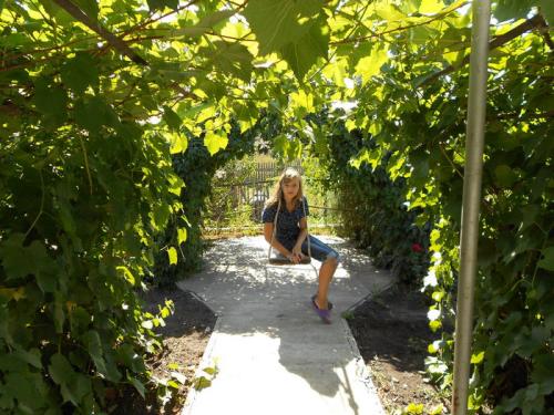 Беседка с виноградом. Разнообразие беседок