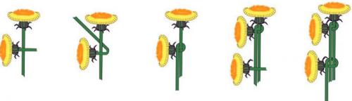 Венок на голову своими руками. Как плести венок из живых цветов одуванчиков ромашек, сирени, травы, полевых цветов на голову пошагово: схема