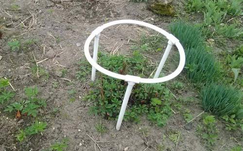 Опора для комнатных растений своими руками. Опора для цветов своими руками из подручных материалов