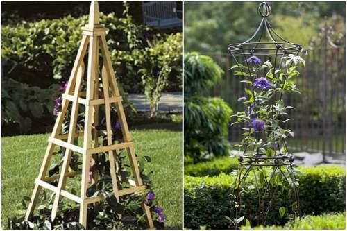 Шпалера своими руками для клематиса. Опора для клематиса своими руками: правила выбора и виды конструкции
