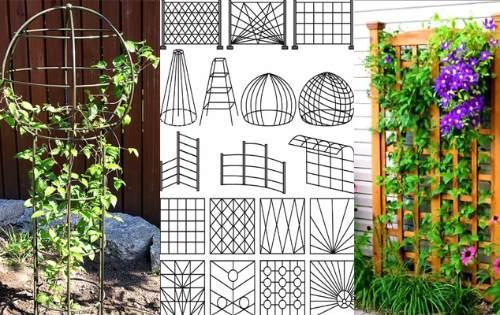 Шпалера своими руками для клематиса. Опора для клематиса своими руками: правила выбора и виды конструкции