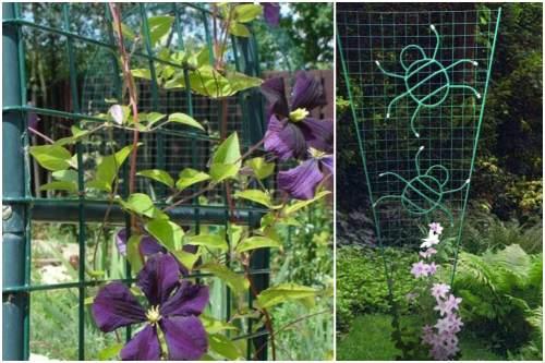 Шпалера своими руками для клематиса. Опора для клематиса своими руками: правила выбора и виды конструкции