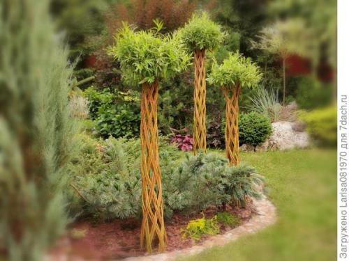 Пальма из ивы. 'Датские корни' — плетёная ива или русская пальма