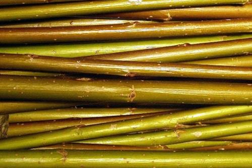 Плетеная беседка своими руками. Делаем плетёную беседку своими руками 01 Плетеная беседка своими руками. Делаем плетёную беседку своими руками 01