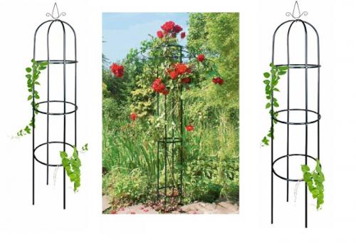 Опора для плетистой розы из пластиковых труб. Виды опор для плетистых роз