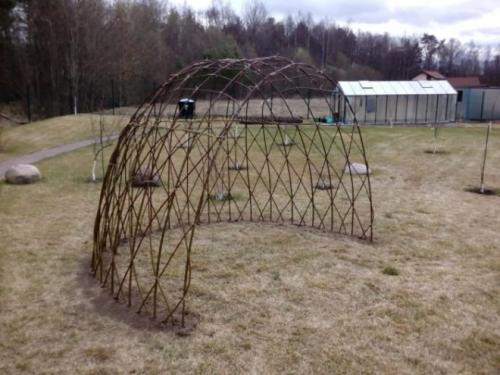 Плетеная беседка из ивы. Живая беседка из ивы своими руками