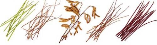 Много идей, что можно сделать из иголок хвойных деревьев. Спосо. Использование хвои в качестве удобрения 04 Много идей, что можно сделать из иголок хвойных деревьев. Спосо. Использование хвои в качестве удобрения 04