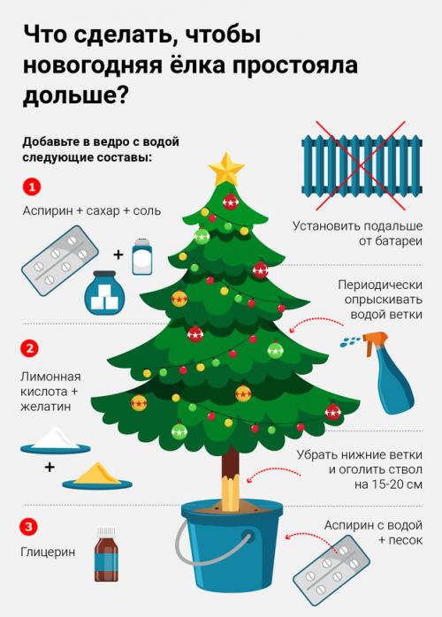 19 креативных идей для создания украшений из хвои.. Декор для входной двери. 13 19 креативных идей для создания украшений из хвои.. Декор для входной двери. 13