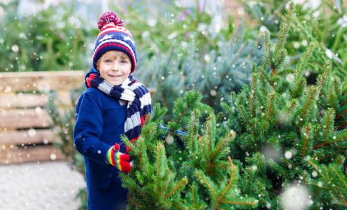19 креативных идей для создания украшений из хвои.. Декор для входной двери. 12 19 креативных идей для создания украшений из хвои.. Декор для входной двери. 12