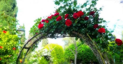 Арки для цветов на даче или в саду. Конструкции арок