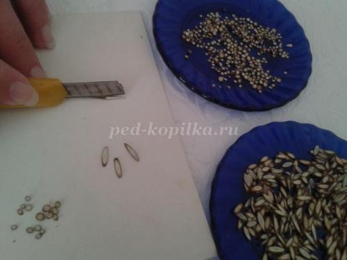 Панно на срезе дерева своими руками 04 Панно на срезе дерева своими руками 04