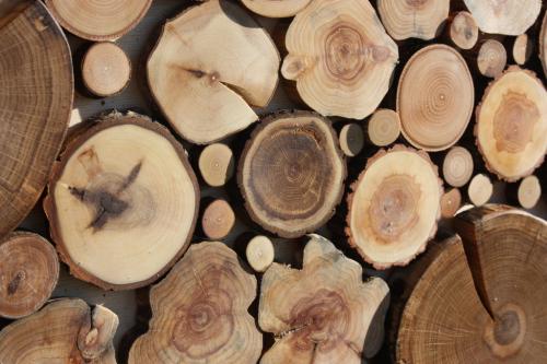 Что можно сделать из спилов бревен. ТОП-7 поделок из спилов дерева – идеи для декора дома (78 фото) в 2023 году