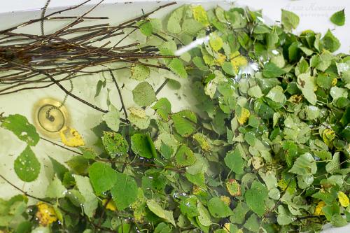 Венок своими руками из веток. Осенний мастер-класс (плетем березовый венок)