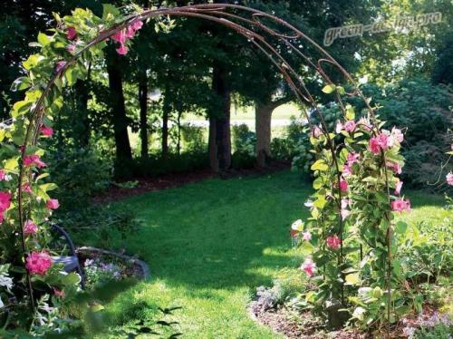 Опора для роз из арматуры своими руками. Создаем арку для плетистых роз своими руками из арматуры