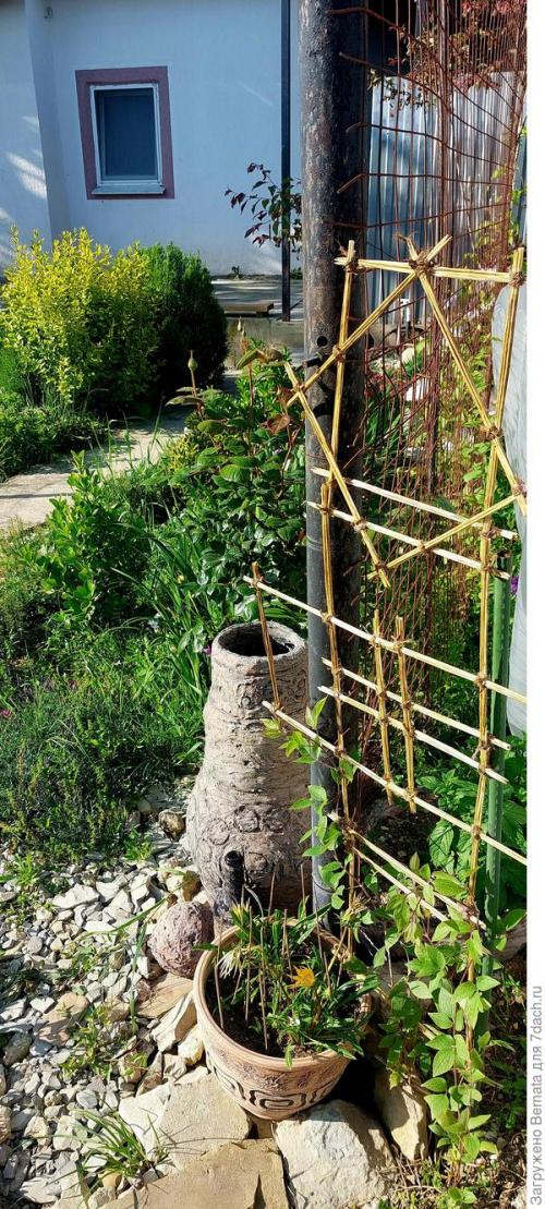 Опора для комнатных растений своими руками. Решётки, опоры, шпалеры... для комнатных растений и не только или Когда надоело уговаривать мужа