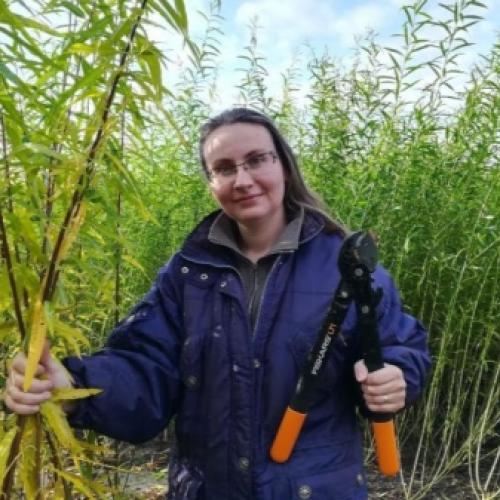 Беседка из веток своими руками. Выбор материала 02