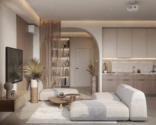 Виды арок в квартире по форме и материалу изготовления. Разновидности межкомнатных арок 04