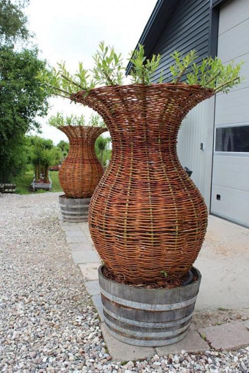 Плетение из виноградной лозы. Плетение из лозы пошагово своими руками: освоение древнего ремесла и выбор технологии изготовления поделок для начинающих