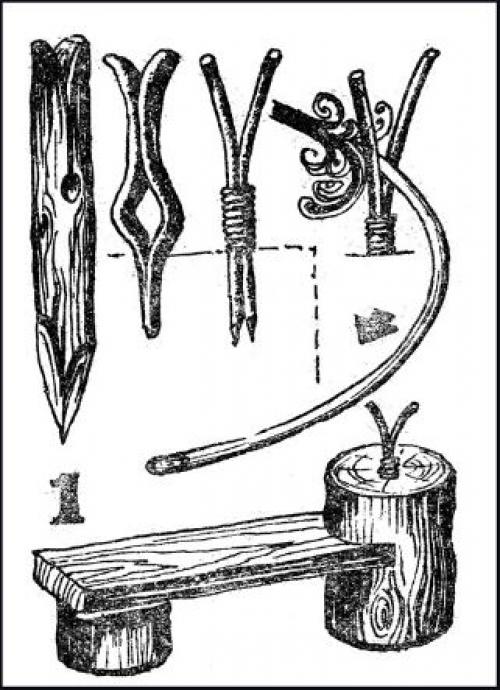 Заготовка лозы для плетения корзин. Как заготовить лозу для плетения корзин начинающим