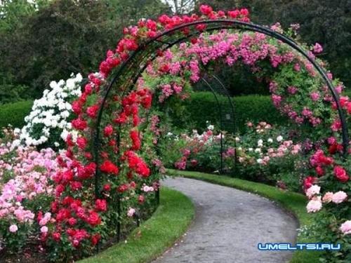 Садовые арки в ландшафтном дизайне. Арки в садовом ландшафте 10