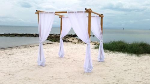 Арка из дерева на свадьбу. Свадебная арка: 73 фото лучших вариантов дизайна для идеальной совремненой свадьбы