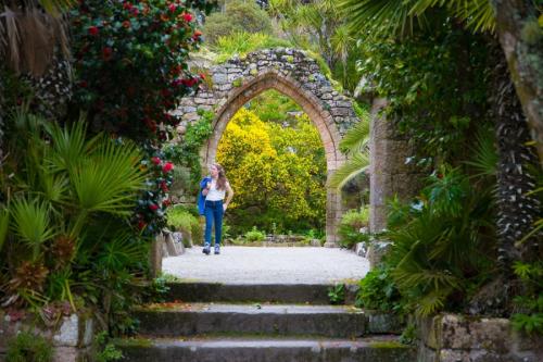 Арка из дерева в саду. Садовая арка — советы и инструкции по постройке своими руками (120 фото-идей)