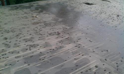 Навес из поликарбоната к дому своими руками. Навес из поликарбоната, примыкающий к дому: материалы, сборка и его монтаж