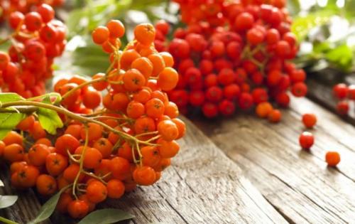 Венок из ивовых прутьев своими руками. Делаем веночек из веток 13