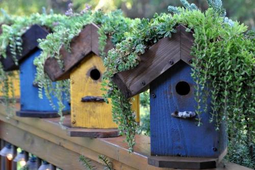 Украшение сада своими руками из подручных материалов. 90 идей украшений для сада своими руками (фото)