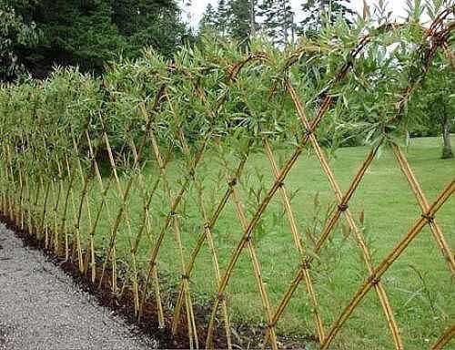 Как сделать плетень своими руками из веток лозы и ивы. Фото-идеи