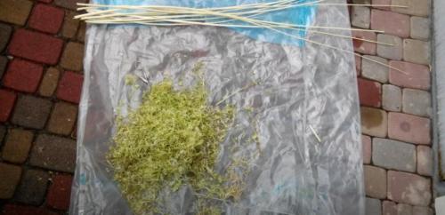 Обработка веток для поделок. Как подготовить коряги для поделок? 02 Обработка веток для поделок. Как подготовить коряги для поделок? 02