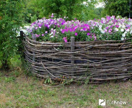 Плетёный забор из лозы для клумбы своими руками.. Особенности изготовления плетеной клумбы 18