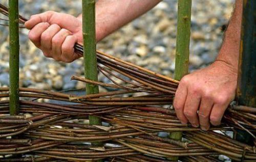 Плетеный забор из веток. Особенности 19