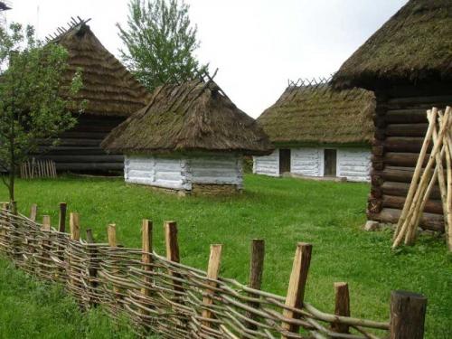 Ограда из лозы. Забор из лозы — пошаговая инструкция, как сплести своими руками красивый и прочный забор (145 фото + видео)