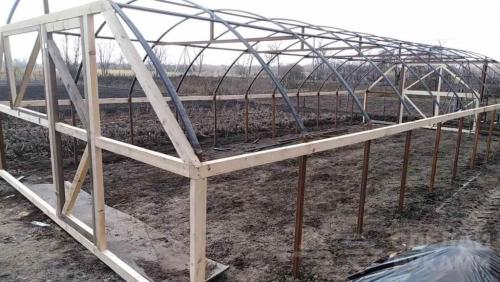 Домашняя теплица своими руками. Почему лучше строить теплицу самому плюсы и минусы