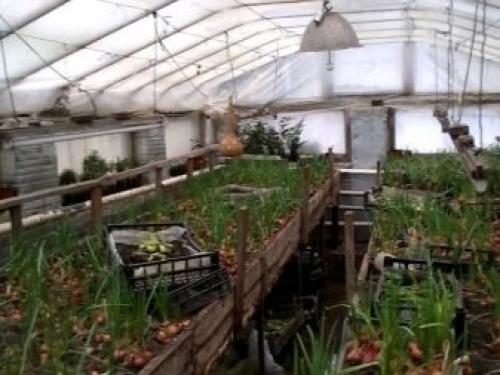 10 способов сделать теплицу своими руками. Виды и этапы строительства теплиц 19 10 способов сделать теплицу своими руками. Виды и этапы строительства теплиц 19