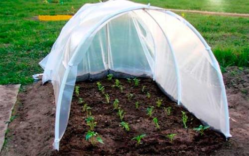 Откидной парник из пластиковых труб. Парник из пластиковых труб своими руками: 4 идеи