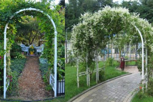 Арка из металлопластиковой трубы. Как сделать арку из пластиковых труб в саду