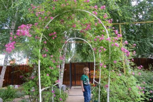 Арка из металлопластиковой трубы. Как сделать арку из пластиковых труб в саду