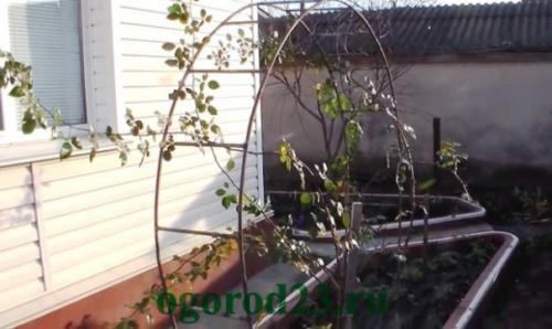 Как сделать арку для цветов своими руками. Делаем арку своими руками