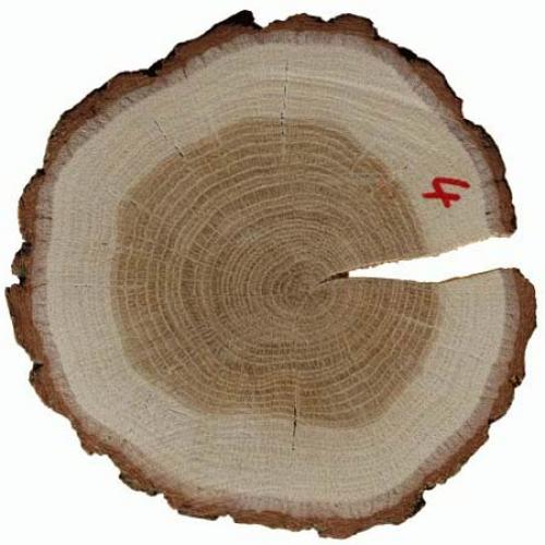 Пластиковые арки на двери. Материалы изготовления