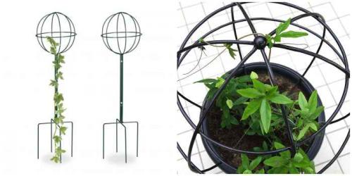 Круговая опора для цветов своими руками. Опора для цветов: разновидности, советы, идеи с фото