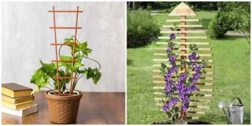 Круговая опора для цветов своими руками. Опора для цветов: разновидности, советы, идеи с фото