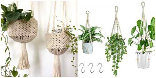 Круговая опора для цветов своими руками. Опора для цветов: разновидности, советы, идеи с фото