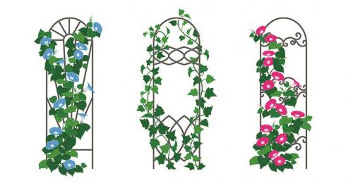 Садовые шпалеры для вьющихся растений своими руками. Из дерева 03 Садовые шпалеры для вьющихся растений своими руками. Из дерева 03